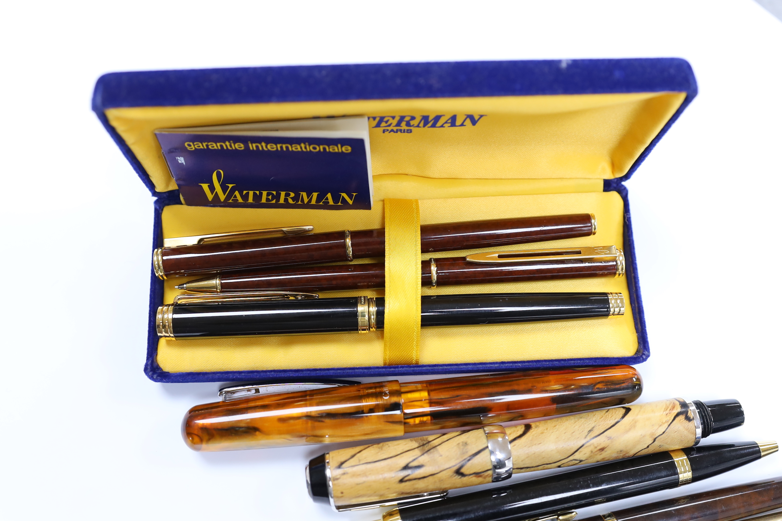 A group of various ball point and fountain pens including a Montblanc Meisterstuck 446, Parker, Watermans etc.